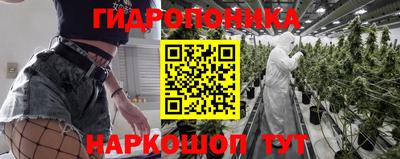 дурь Новокубанск