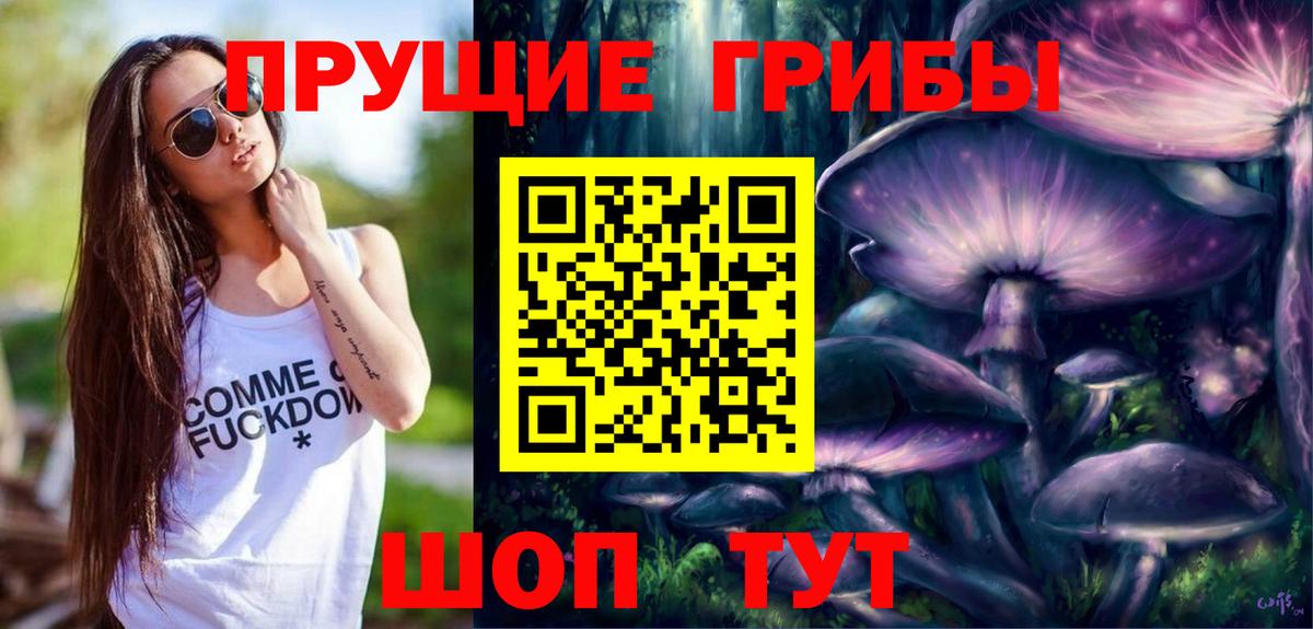 Галлюциногенные грибы Psilocybine cubensis Рассказово