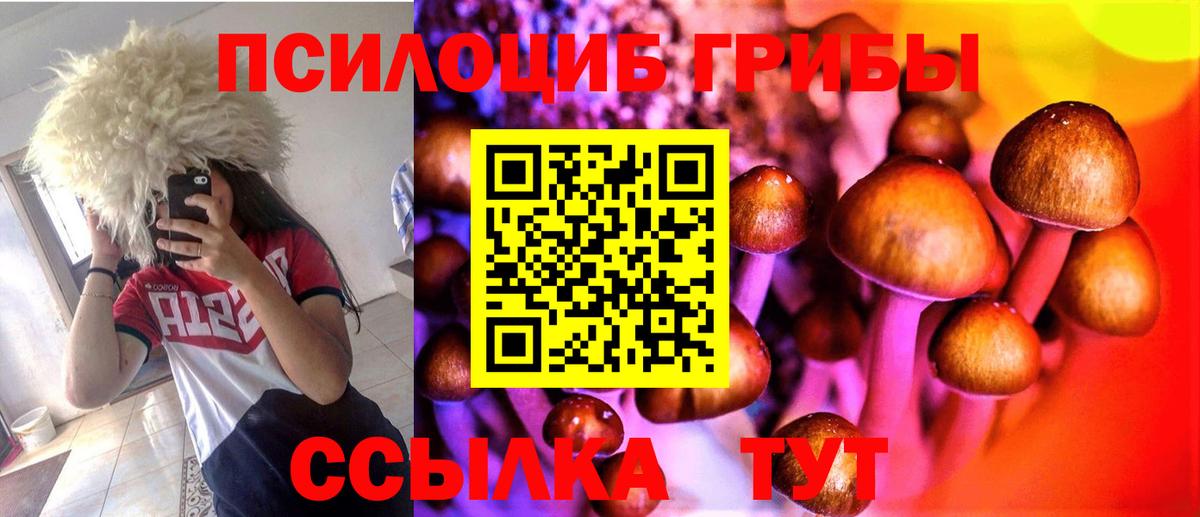 Псилоцибиновые грибы GOLDEN TEACHER  Вход с VPN  Рассказово 